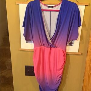 VENUS Pink and Blue Garment
